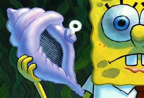 Ask the magic conch shell